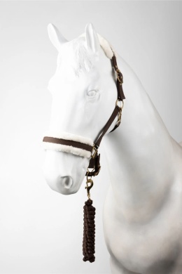 Kantar z uwiazem